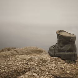 24545568504354300633593058674469301359110780642168040344765706392084607402034