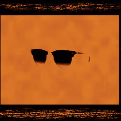 Satoshi Shades #49