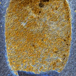 Fluxus Commentarius - Type 1 - #539