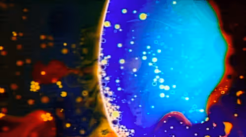 Item #115543855825004991069233676876391598030512634182688088675694673473488757456897 Media