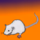 1274604328964885283847791135493237248806731271145638488464024694557971054593