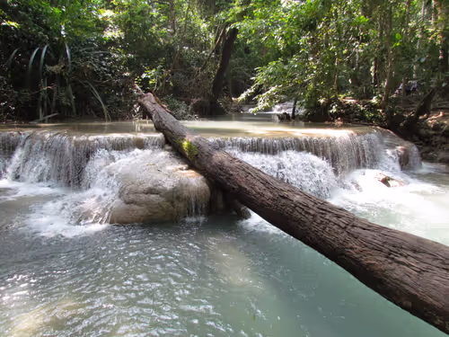 Item #19694953450994535055796596826502944982455978775333522112985953715972412014597 Media