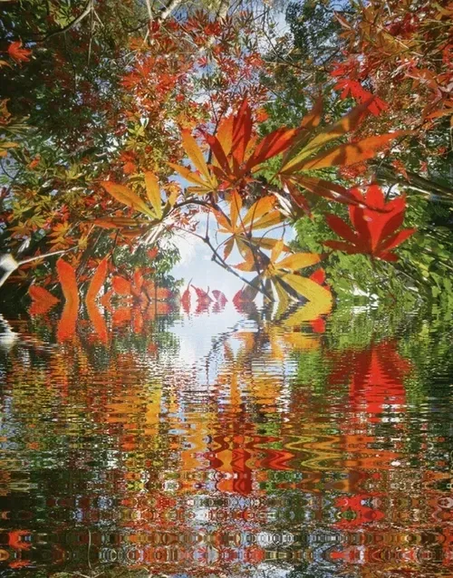 Item #33273431064062745158281459223994481396408298461003960329838769750306136784901 Media