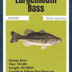 43502264269384842523243150070095810631836830099831581701628992071408199663617