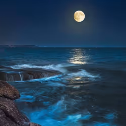 83462484926125179177933876272722647181473475967863052278931111131737376161793