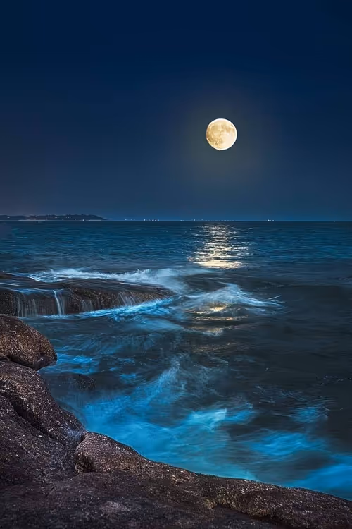 Item #83462484926125179177933876272722647181473475967863052278931111131737376161793 Media