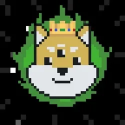 Rocket Shiba #3129