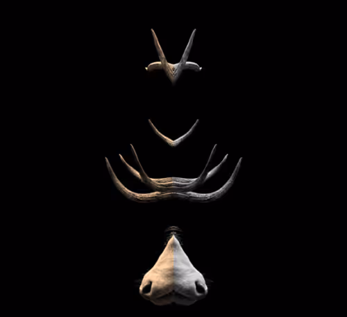 Item #34454936067109255411821695593986662576019221036187321850642630763714684387329 Media