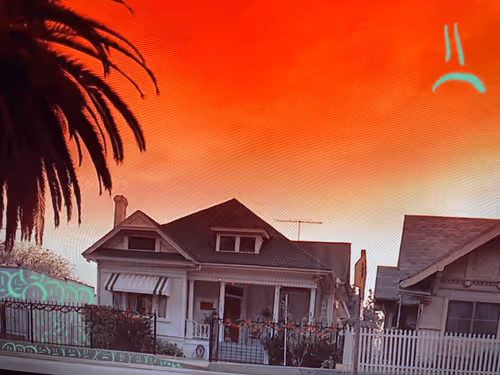 Untitled Collection #55451716