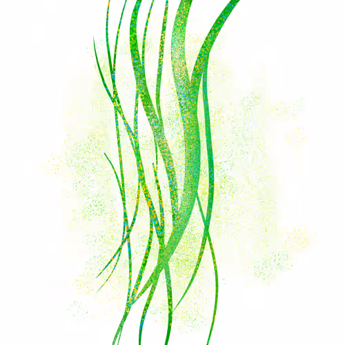 Item #54223942118458018475773761912515880898679735035654901743236843643157910388737 Media