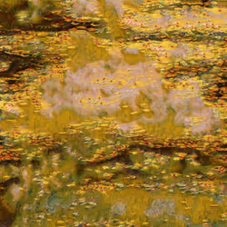 80092882259493367463484569941862688859981243870241048997485309527640470716417