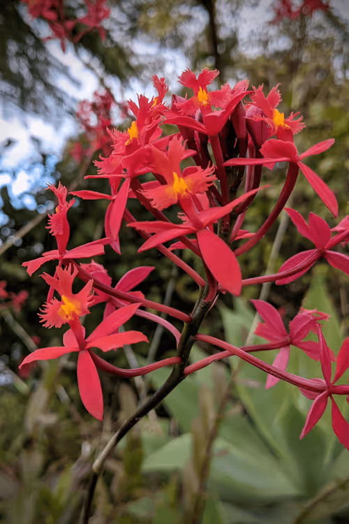 Item #39075669952795110311488058078452160275975432518977374571902800589327972696065 Media