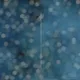 26040913062886752414278119140247836826885546680679963648469406842069190705252