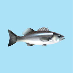 Save Marine Lifes #24