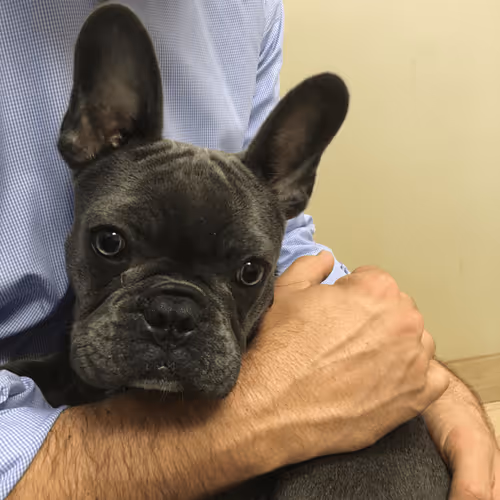 Item #99031261785432219130552668818269695456905868997165113515571762357734138183681 Media