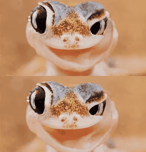 Gecko PUMP