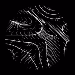 44081091071029519646655864610904877789481755389239864061758742035156495761409