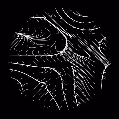 Item #44081091071029519646655864610904877789481755389239864061758742035156495761409 Media