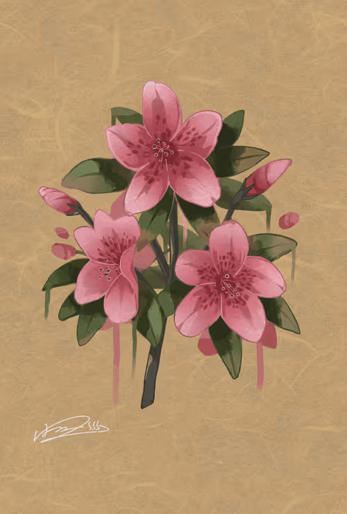 Item #43950495061990051826892666991843951158667042339569101791156585523460549115905 Media