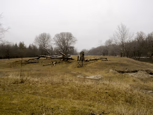 Item #41983459946325006344850038724007157971914249844141491949312559653158603718657 Media