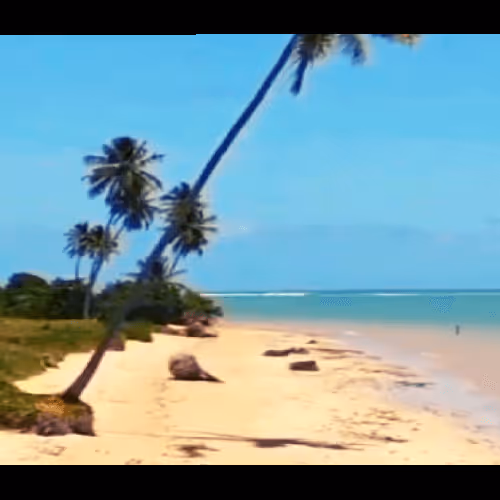 Item #42655069450279595702778439768559423805970000241868820674688539774350392295425 Media