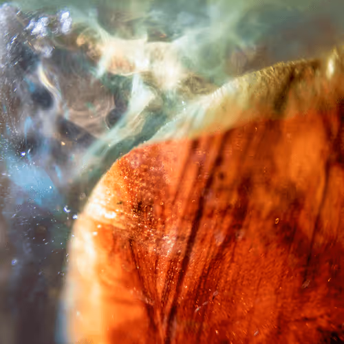 Item #8251270981130702250905355697814279819197198943221984468281114919501064830977 Media