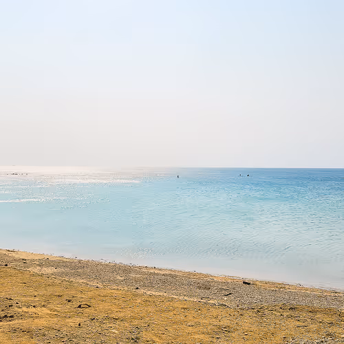 Untitled Collection #174753581