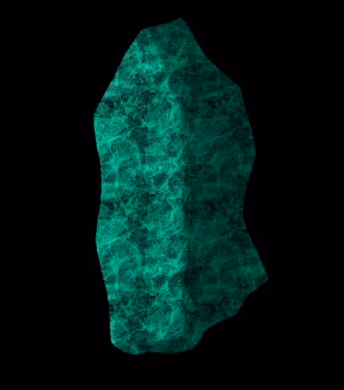 Item #97667747305328880677719999642930270019019806513031101726286666948836040114177 Media