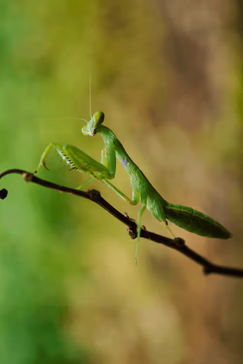 Item #25248765690261585435434482314818899014355955401617162377978101855108091346945 Media