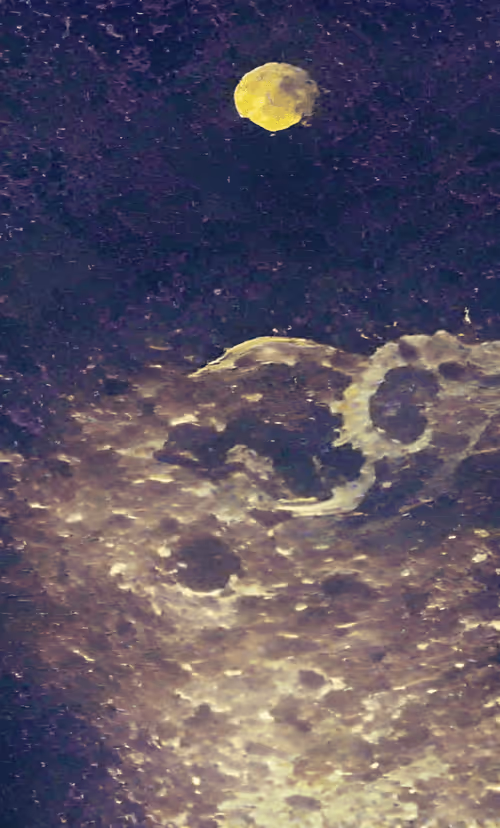 Item #48911011086485222999785850938123240796374265397291012637443570045530878771201 Media