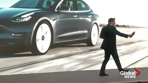 Item #36327999619503733666753466472136488005736938671622663307340290185936204988417 Media