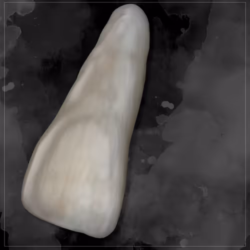 Item #62232289940205459480907166310422704462499916562185049757007232063212527550465 Media