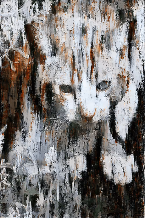 Item #82131992402555671980798055465587884445464283702860645772928283635320933580801 Media