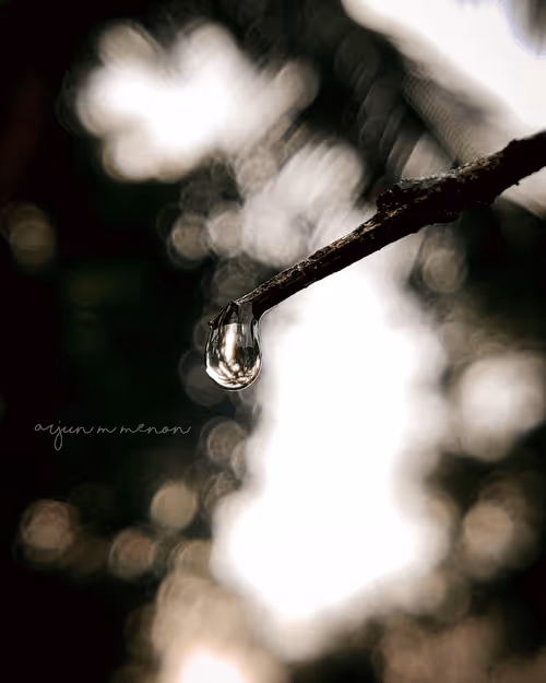 Item #96373460507912281939903112807065392587728079623754575039603803302542922743809 Media