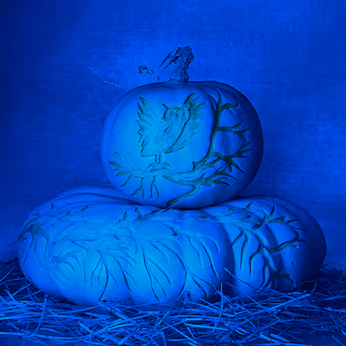 15081463501546268006596121588316872326209313817998412847676536845548549832705