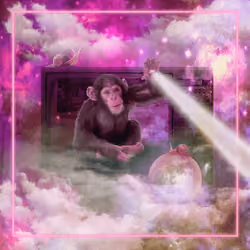 Meta Monkey