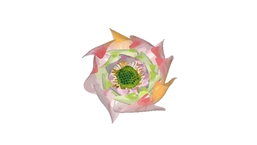 Item #50338643828038058361996161468522588055032468449555883403576576009928345387107 Media