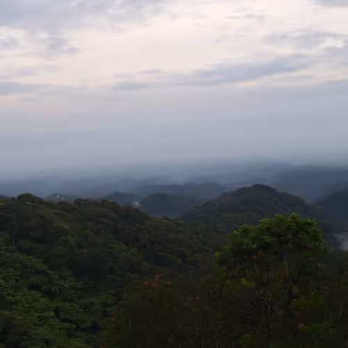 Untitled Collection #120181033