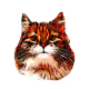 10382815723190953134241725669730685580339107993843552928082462664846437515265