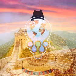 64536456341285675859788069130660088481171403000174399081275630875265470562305