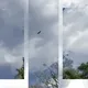 33088559072922145468772139539263496654338679811370141788679963775568778887169