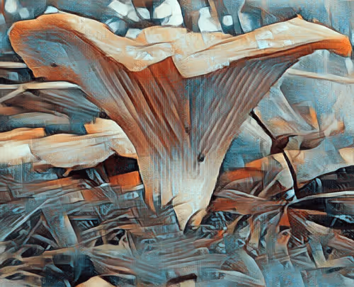 Item #52279899657470602930374504215573078093568881935855796206247483376283213103105 Media