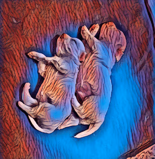 Item #49775347469148338497975615295710857595953595610684904343872467226031460188180 Media