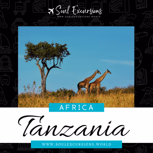 Item #66062759259298317495242665808143605487960305521075017354073139575723361566721 Media