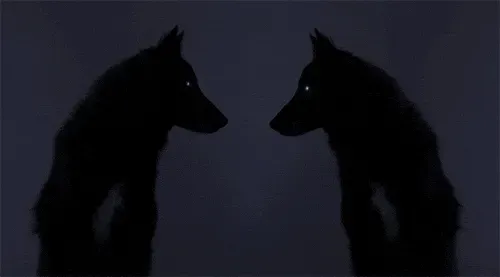 Wolf Team #3