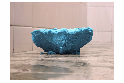 Item #43398732406163423118447281784923568287248172986575454557898143064185202802689 Media