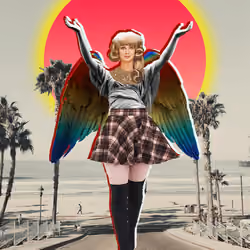 Mindvisual x Beach Bird