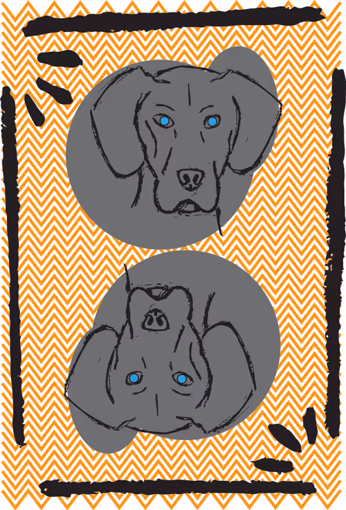 Item #51224915966700160774538338430496236534362062465209534242812469050746077184050 Media