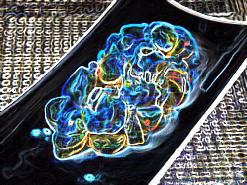 Item #38428491214432997710805119753130482033437213928045835260507500306560333119489 Media