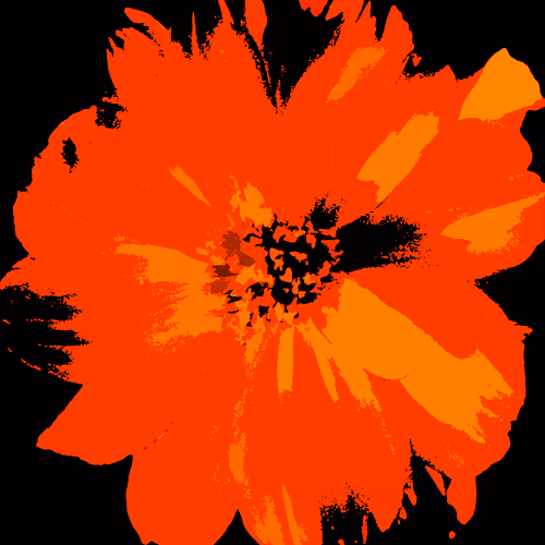 52976950402654845118346719408738568385707735523303187800578383987283666665473